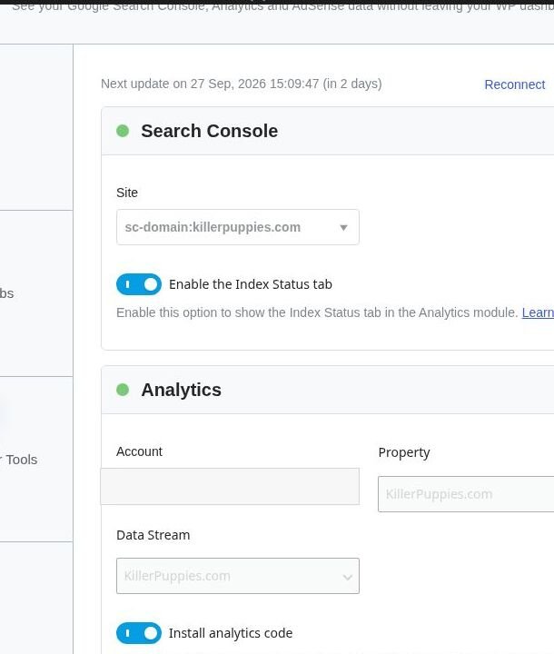 Rank Math settings showing connected Search Console and Analytics selections
