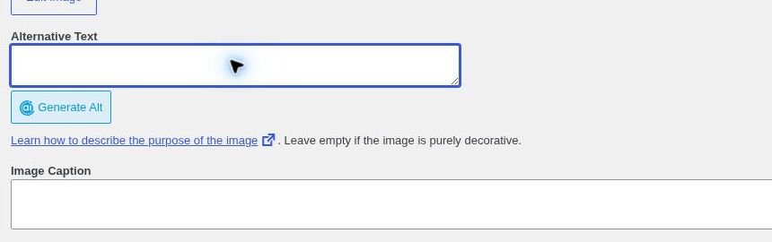 WordPress media fields for alternative text and image caption
